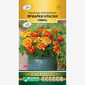 Бархатцы ЯРМАРКИ КРАСКИ, смесь (10 шт)/ Евросемена
