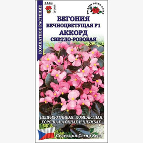 Бегония Аккорд светло-роз /Сотка/ 10 шт