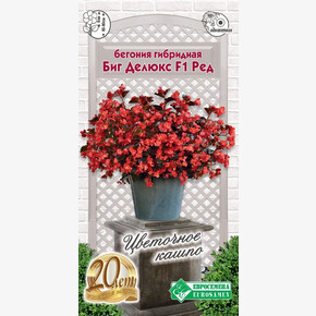 Бегония Биг Делюкс Ред, темный лист F1/ Евросемена