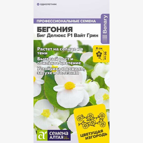 Бегония Биг Делюкс F1 Вайт грин/Сем Алт/цп 3 шт. НОВИНКА