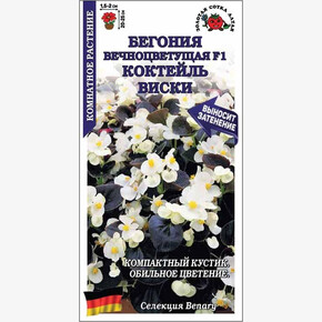 Бегония Коктейль Виски/ Сотка