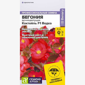 Бегония Коктейль Водка вечноцветущая/Семена Алтая/цп 5 шт.