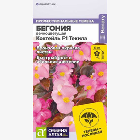 Бегония Коктейль Текила/ Сотка