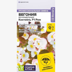 Бегония Коктейль F1 Ром вечноцветущая/Сем Алт/цп 5 шт. НОВИНКА