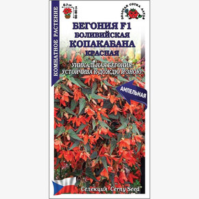 Бегония Копакабана красная /Сотка/ 5шт/*500