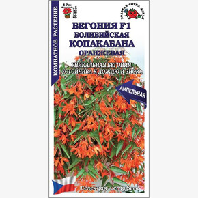 Бегония Копакабана оранжевая /Сотка/ 5шт/*500