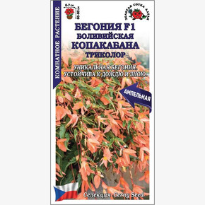 Бегония Копакабана Триколор /Сотка/ 5шт/*500