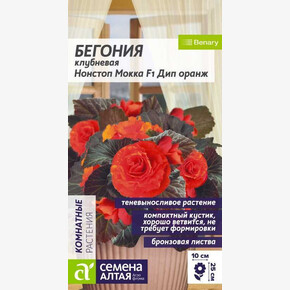Бегония Нонстоп Мокка F1 Дип Оранж клубневая/Сем Алт/цп 4 шт. НОВИНКА