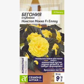 Бегония Нонстоп Мокка F1 Еллоу клубневая/Сем Алт/цп 4 шт. НОВИНКА