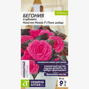 Бегония Нонстоп Мокка F1 Пинк шейдс клубневая/Сем Алт/цп 4 шт. НОВИНКА