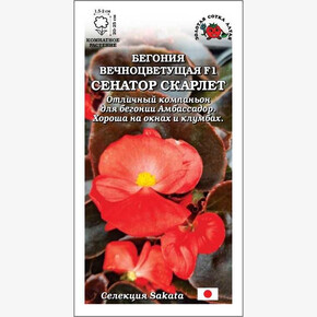 Бегония Сенатор Скарлет F1 /Сотка/ 5шт/ вечно h-25см d-2см Sakata/*500