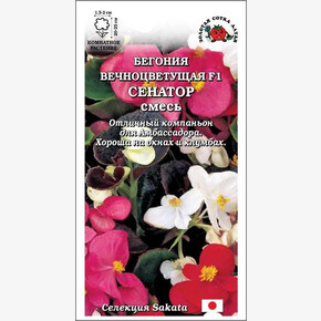 Бегония Сенатор Смесь/ Сотка