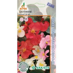 Бегония Сенатор F1 15шт*, Дания, комн./ Агрос