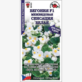 Бегония Сенсация белая F1 /Сотка/ 5шт/*500