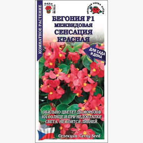 Бегония Сенсация красная F1 /Сотка/ 5шт/*500