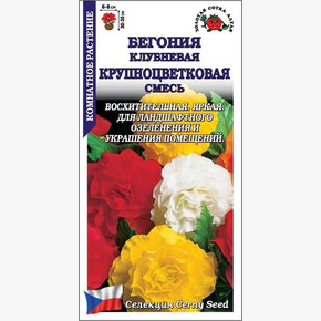 Бегония смесь /Сотка/ 5шт/ клубн. h-35см d-8см Cerny/*500