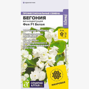 Бегония Фея Белая вечноцветущая/Семена Алтая/цп 5 шт.