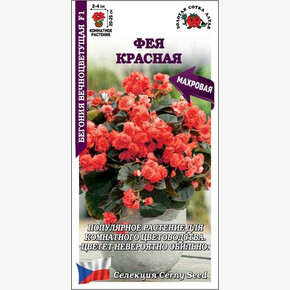 Бегония Фея Красная /Сотка/ 5 шт/*500