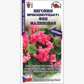 Бегония Фея Малиновая /Сотка/ 5 шт/*500
