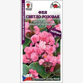 Бегония Фея Светло-Розовая /Сотка/ 5 шт/*500