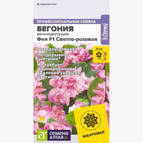 Бегония Фея Светло-розовая вечноцветущая/Семена Алтая/цп 5 шт.