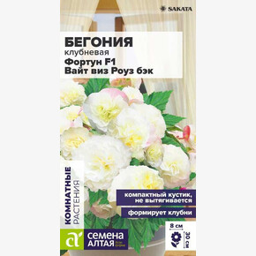 Бегония Фортун F1 Вайт виз Роуз Бэк клубневая/Сем Алт/цп 4 шт.