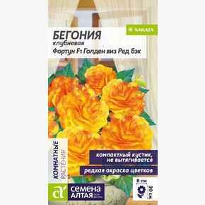 Бегония Фортун F1 Голден виз Ред Бэк клубневая/Сем Алт/цп 5 шт.