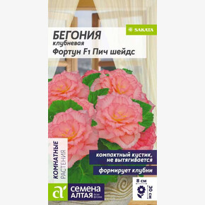 Бегония Фортун F1 Пич шейдс клубневая/Сем Алт/цп 4 шт.