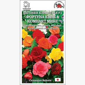 Бегония Фортуна F1 Квик & Компакт микс /Сотка/ 5шт/ клуб. h-30см d-8см/*500