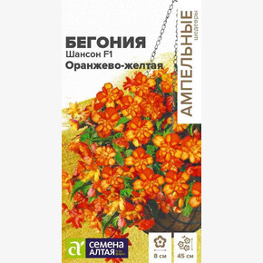 Бегония Шансон Оранжево - желтая ампельная клубневая/ Семена Алтая 5 шт. Ампельные шедевры