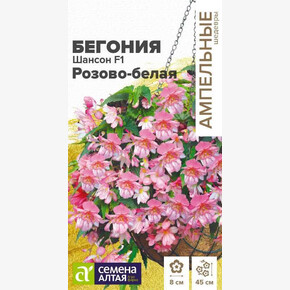 Бегония Шансон Розово-белая ампельная клубневая/ Семена Алтая 5 шт. Ампельные шедевры