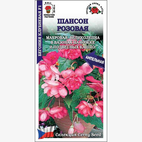 Бегония Шансон F1 розовая /Сотка/ 5шт/*500