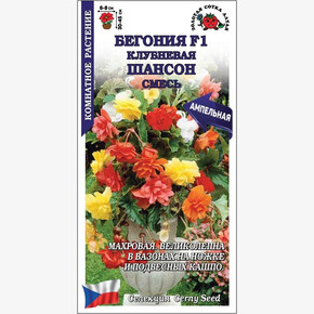 Бегония Шансон F1 смесь /Сотка/ 5шт/*500 / НОВИНКА!