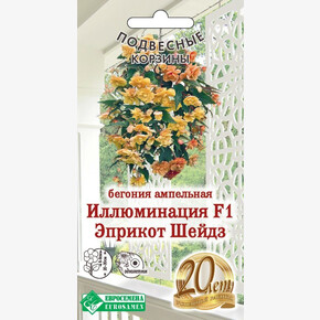 Бегония Эприкот Шейдз F1/ Евросемена