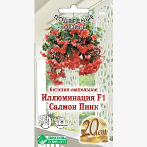 Бегония Cалмон Пинк F1/ Евросемена