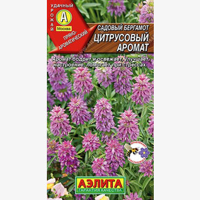 Бергамот Цитрусовый Аромат/ Аэлита