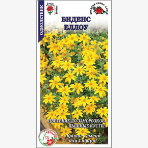 Биденс Еллоу/ Сотка