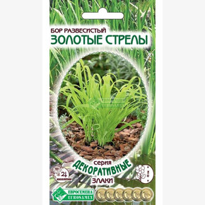 Бор развесистый ЗОЛОТЫЕ СТРЕЛЫ (5 шт)/ Евросемена