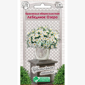 Брахикома ЛЕБЕДИНОЕ ОЗЕРО 0,1 гр/ Евросемена