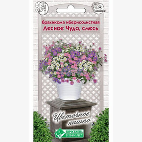 Брахикома Лесное Чудо смесь 0,2гр/ Евросемена