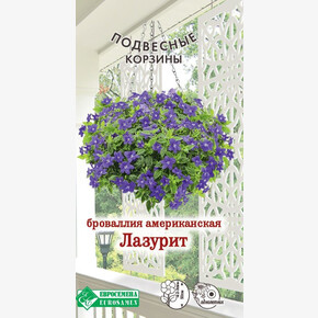 Броваллия американская Лазурит/ Евросемена