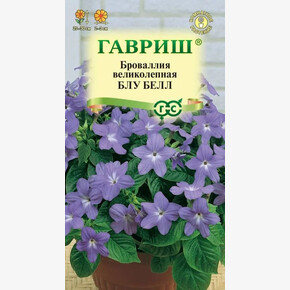 Броваллия Блу Белл/Гавриш/цп 3ш