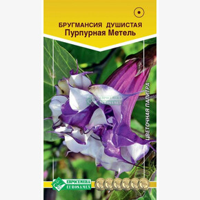 Бругмансия душистая ная Метель/ Евросемена