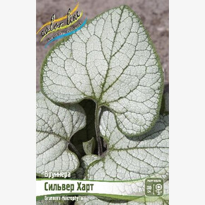 БРУННЕРА СИЛЬВЕР ХАРТ