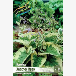 БРУННЕРА ХАДСПЕН КРЕМ
