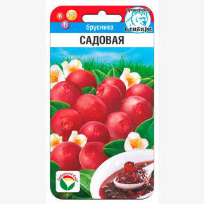 Брусника Садовая 10шт Сиб Сад