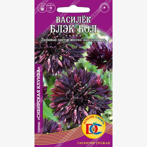 Василек Блэк Бол /0,3 гр ДемСиб/