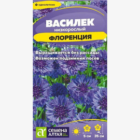 Василек Флоренция/ Семена Алтая