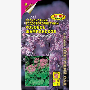 Василистник Розовое шампанское/ Аэлита