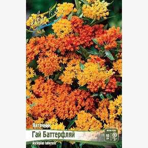 ВАТОЧНИК ГАЙ БАТТЕРФЛЯЙ